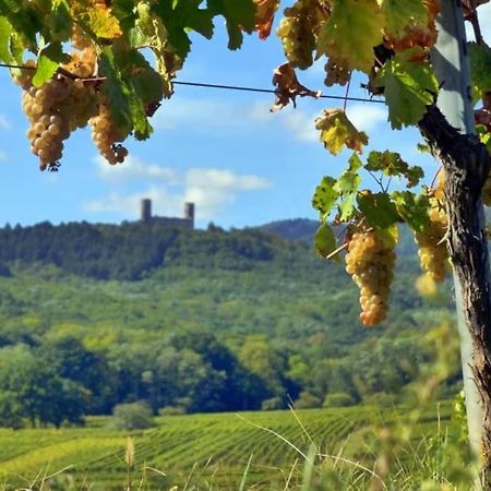 Appartement Cosy - Centre De Barr - Route Des Vins 외부 사진