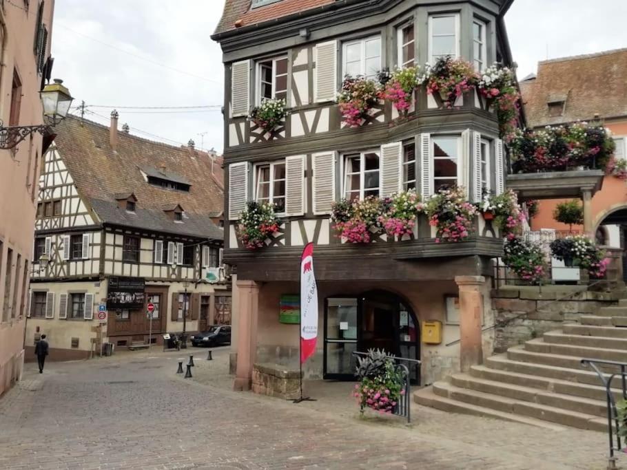 Appartement Cosy - Centre De Barr - Route Des Vins 외부 사진